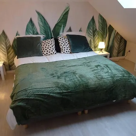 Panoramique Apartment Le Thillot