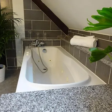 Διαμέρισμα Panoramique Le Thillot